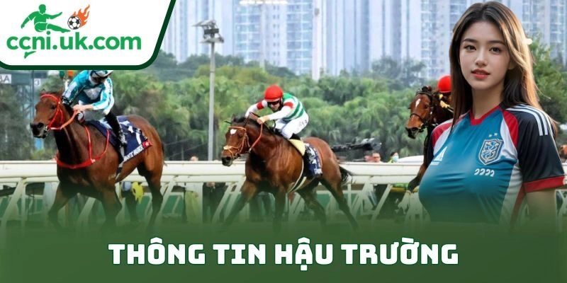 Thông tin hậu trường